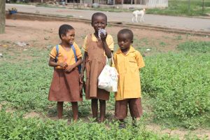 Read more about the article The Chalkboard That Changed a Village, “Education in Ntonso, Ghana”